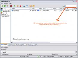 torrent.gif
